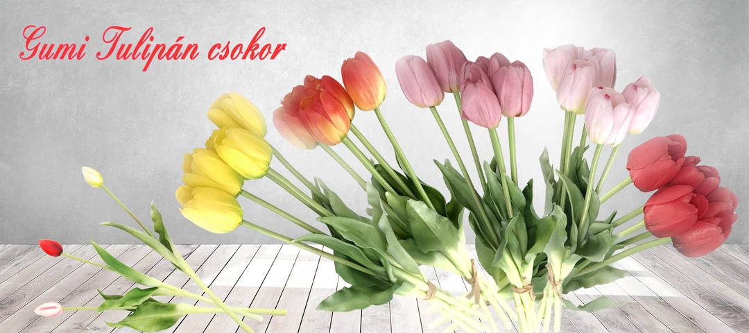 max diszkont - maxdiszkont