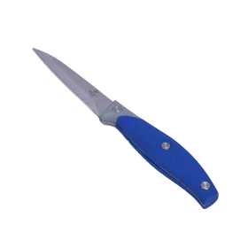   Étkezéshez és konyhai előkészítéshez alkalmas konyhakés, kék, műanyag nyéllel, 20 cm teles hossz, penge: 10 cm