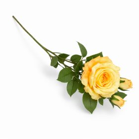   66 cm-es 3 Bimbós Sárga Selyem Rózsa – Élethű Műrózsa Ág Dekorációhoz