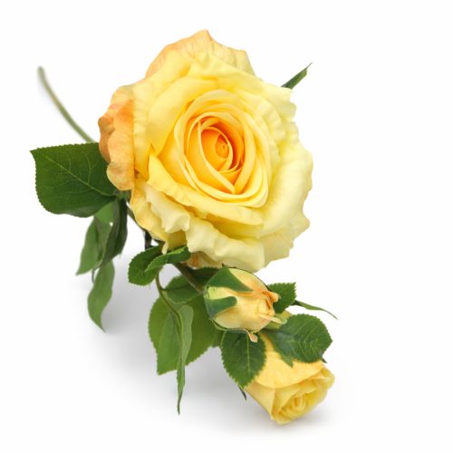 66 cm-es 3 Bimbós Sárga Selyem Rózsa – Élethű Műrózsa Ág Dekorációhoz