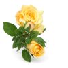 66 cm-es 3 Bimbós Sárga Selyem Rózsa – Élethű Műrózsa Ág Dekorációhoz