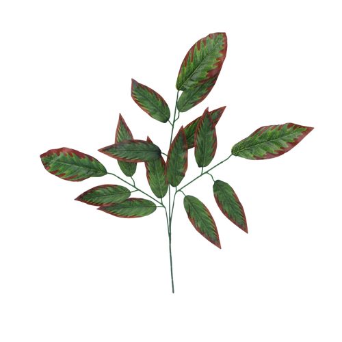 Műnövény barnult szélű levelekkel, 65 cm hosszú, 60 cm, széles