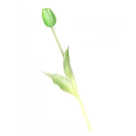 Gumi Tulipán szálas 40 cm - Zöld