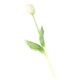 Gumi Tulipán szálas 40 cm - Fehér