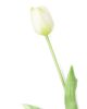Gumi Tulipán szálas 40 cm - Fehér