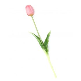 Gumi Tulipán szálas 40 cm - Mályva