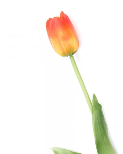 Gumi Tulipán szálas 40 cm - Narancssárga