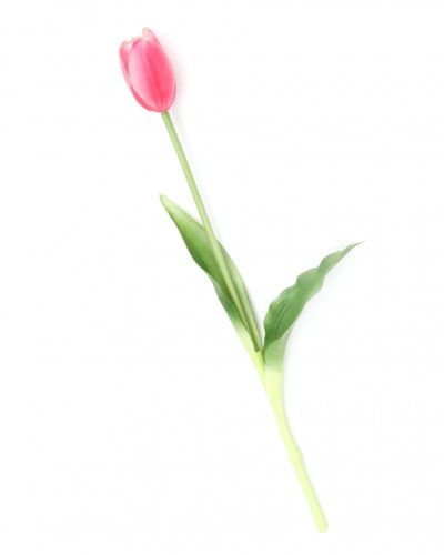 Gumi Tulipán szálas 40 cm - Pink