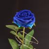 Mesterséges Rózsa Üvegbúrában - Ledes - 17 cm, Kék
