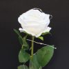 Mesterséges Rózsa Üvegbúrában - Ledes - 17 cm, Fehér