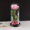 Mesterséges Rózsa Üvegbúrában - Ledes - 20 cm, Fehér-rózsaszín