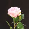  Mesterséges Rózsa Üvegbúrában - Ledes - 20 cm, Rózsaszín