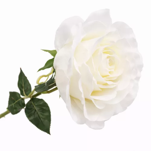 75 cm-es Fehér Selyem Rózsa – Élethű Hosszú Szárú Műrózsa Elegáns Dekorációhoz 17 cm rózsafejjel 