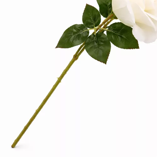 75 cm-es Fehér Selyem Rózsa – Élethű Hosszú Szárú Műrózsa Elegáns Dekorációhoz 17 cm rózsafejjel 