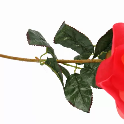 75 cm-es Élénk Piros Selyem Rózsa – Nagy, 17 cm-es Virágfejjel, Élethű Hosszú Szárú Műrózsa123508-2
