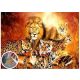 5D Gyémántfestés 50 x 65 cm - Tigris, oroszlán, leopárd