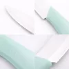 Rozsdamentes acél konyhakés – zöld ergonomikus markolattal, 12 cm pengével