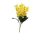 Kis sárga virágos 5 száras 8 virág/száras nárcisz, nagy levelekkel 45 cm
