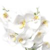 Mű orchidea virágtartóban 40 cm - Fehér