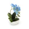 Orchidea virágtartóban élethű növény 28 cm - Kék