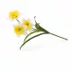 72 cm-es 3 Szálas Selyem Nárcisz – Élethű Művirág Csokor Dekorációhoz