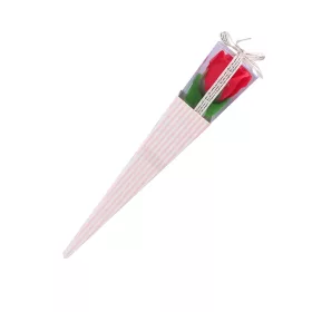 Vörös rózsa gúla alakú dobozban - 30 cm