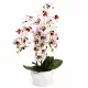 Mű orchidea cserépben 72 cm – 4 szálas fehér-vörös mintás dekor virág