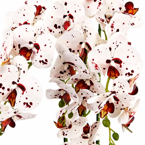 Mű orchidea cserépben 72 cm – 4 szálas fehér-vörös mintás dekor virág