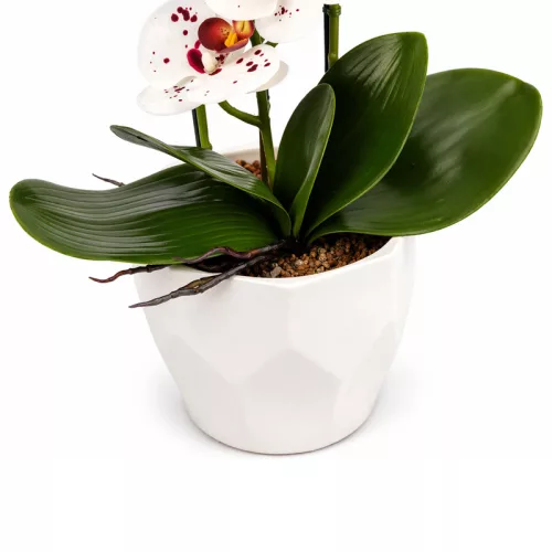 Mű orchidea cserépben 72 cm – 4 szálas fehér-vörös mintás dekor virág