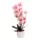 Elegáns rózsaszín pöttyös orchidea modern kaspóban – 3 szálas művirág dekoráció  60 cm