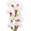 Mű orchidea csokor cserépben 60 cm – 3 szálas fehér-rózsaszín dekor virág