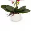 Mű orchidea csokor cserépben 60 cm – 3 szálas fehér-rózsaszín dekor virág