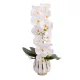 Elegáns fehér orchidea kerámiakaspóban – 2 szálas művirág dekoráció  60 cm
