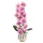 Elegáns rózsaszín-fehér orchidea kerámiakaspóban – 2 szálas művirág dekoráció  60 cm