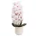 Elegáns rózsaszín-fehér orchidea műanyag kaspóban – 3 szálas művirág dekoráció  70 cm