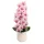 Elegáns rózsaszín orchidea műanyag kaspóban – 3 szálas művirág dekoráció  70 cm