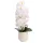 Elegáns fehér orchidea műanyag kaspóban – 3 szálas művirág dekoráció  70 cm