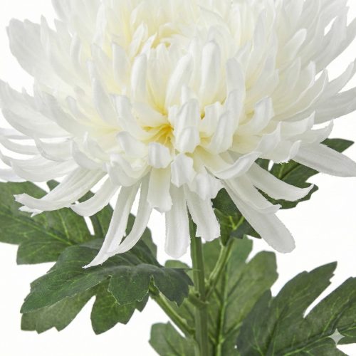 Krizantém művirág 69 cm