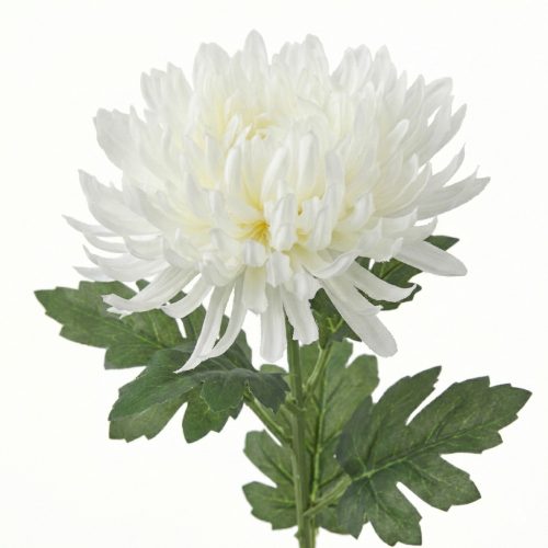 Krizantém művirág 69 cm