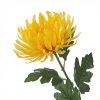 Krizantém művirág 68 cm 