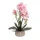 Elegáns rózsaszín pöttyös orchidea kerámiakaspóban – 1 szálas, 3 virágfüzéres művirág dekoráció 50 cm