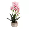 Elegáns rózsaszín-fehér orchidea kerámiakaspóban – 1 szálas, 3 virágfüzéres művirág dekoráció  50 cm