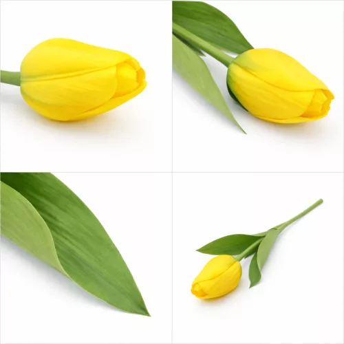 62 cm-es Élénksárga Selyem Tulipán – Élethű Hosszú Szárú Művirág Dekoráció