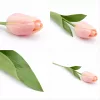 62 cm-es Pasztell Rózsaszín Selyem Tulipán – Élethű Hosszú Szárú Művirág Dekoráció
