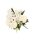 Liliom-rózsa-margaréta virágcsokor 12 szálas 50 cm, fehér