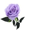 Rózsaszál - művirág, lila - 72 cm