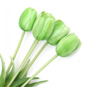 Gumi Tulipán csokor 5 szálas 40 cm - Zöld