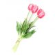 Gumi Tulipán csokor 5 szálas 40 cm - Pink