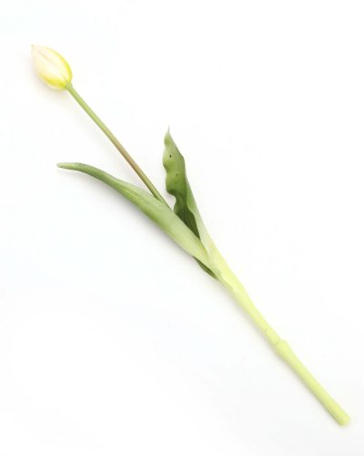 Gumi Tulipán szálas 39 cm - Fehér