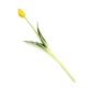 Gumi Tulipán szálas 39 cm - Sárga